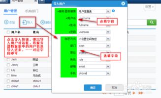 报表开发软件finereport中如何手动添加客户